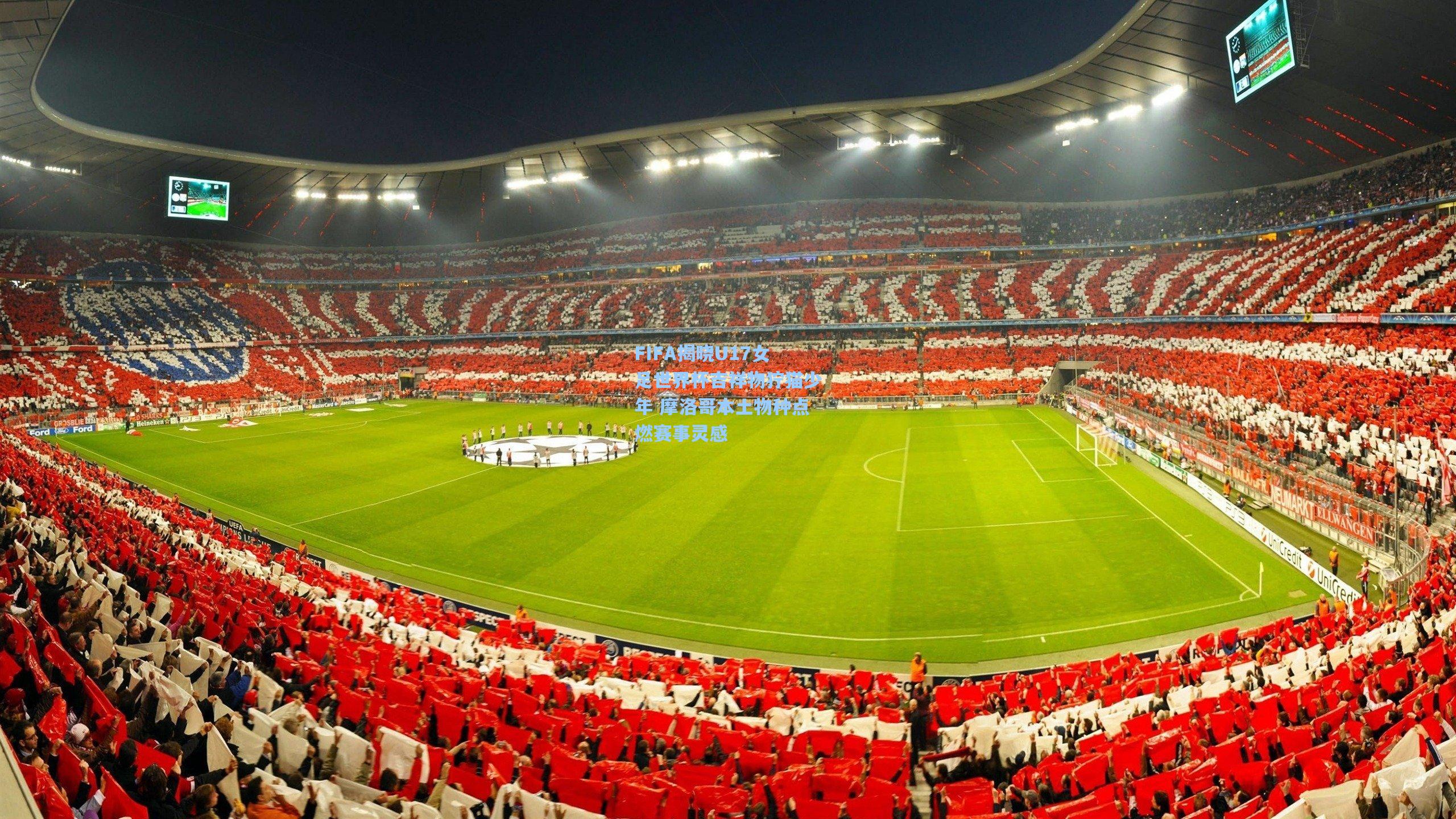 FIFA揭晓U17女足世界杯吉祥物狞猫少年 摩洛哥本土物种点燃赛事灵感