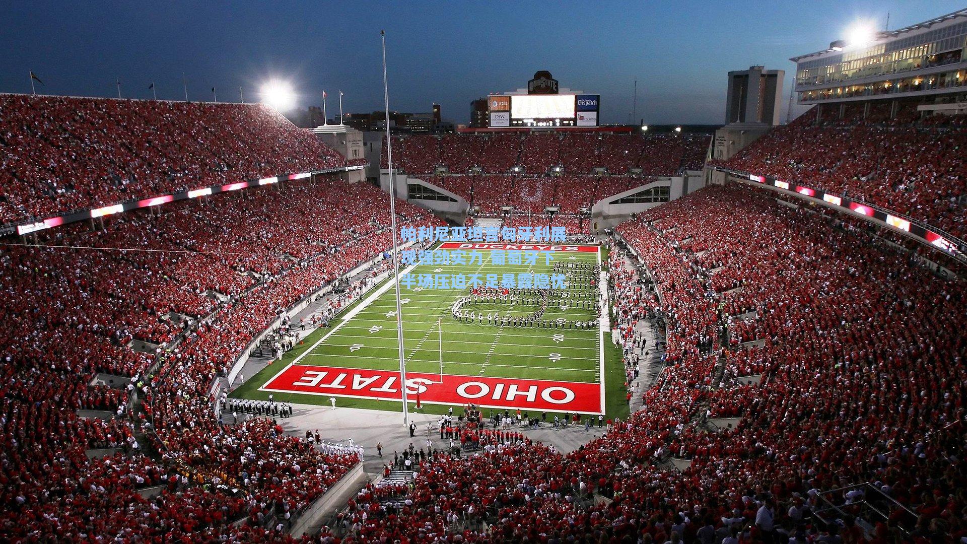 帕利尼亚坦言匈牙利展现强劲实力 葡萄牙下半场压迫不足暴露隐忧